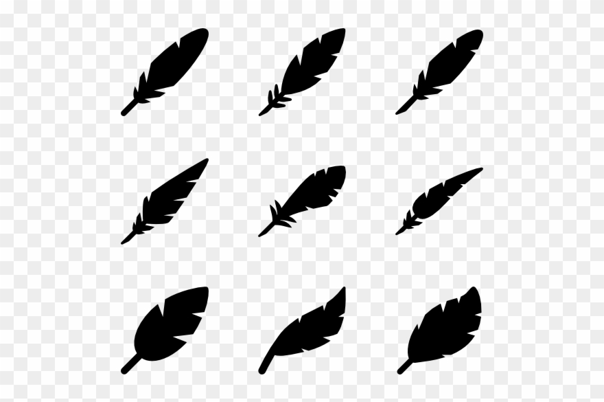 Filled Feathers - Feather Pictogram Clipart