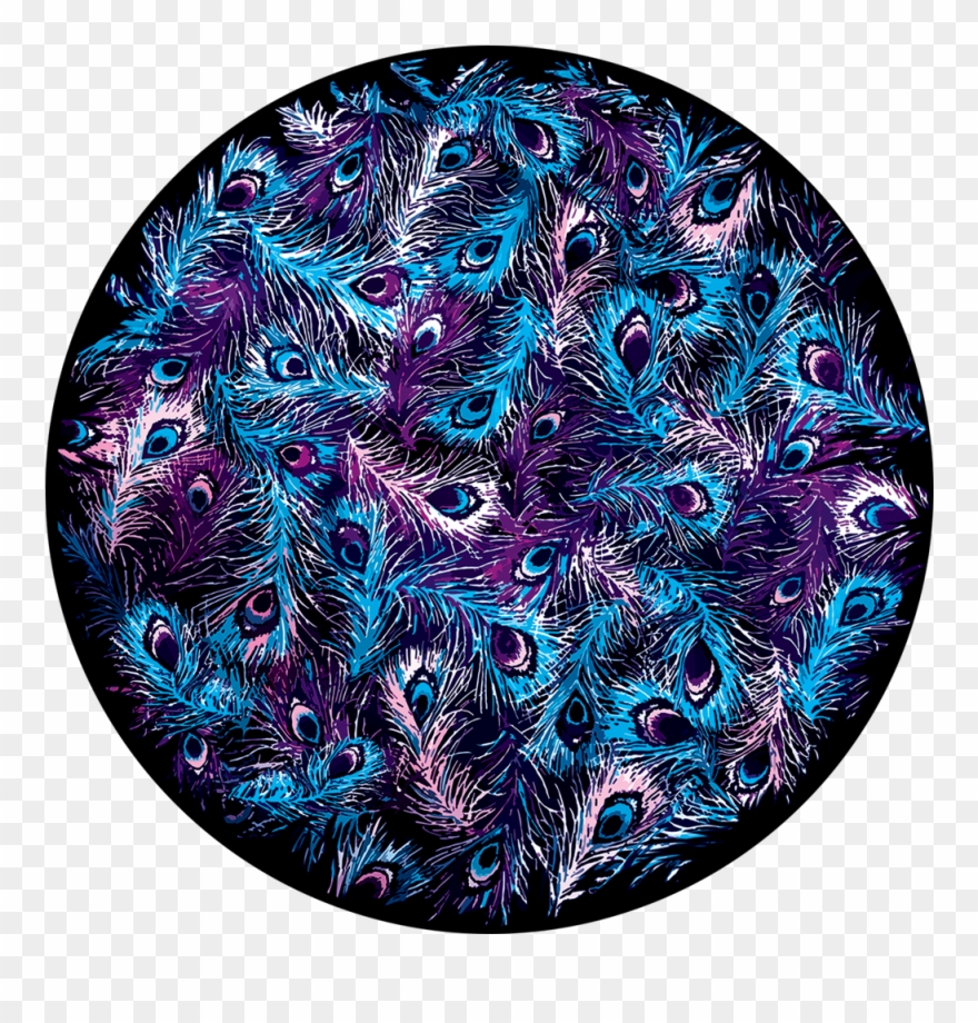 Apollo Design Cs-3466 Cool Peacock Feathers Colourscenic - Design Clipart