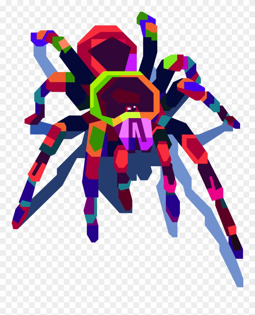 By Gdj - Araña A Que Reino Pertenece Clipart