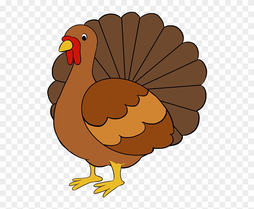 Drawing Of Turkey Clipart