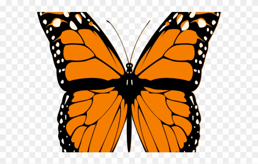 Monarch Butterfly Clipart Realistic - Iron Butterfly: Live Dvd - Png Download