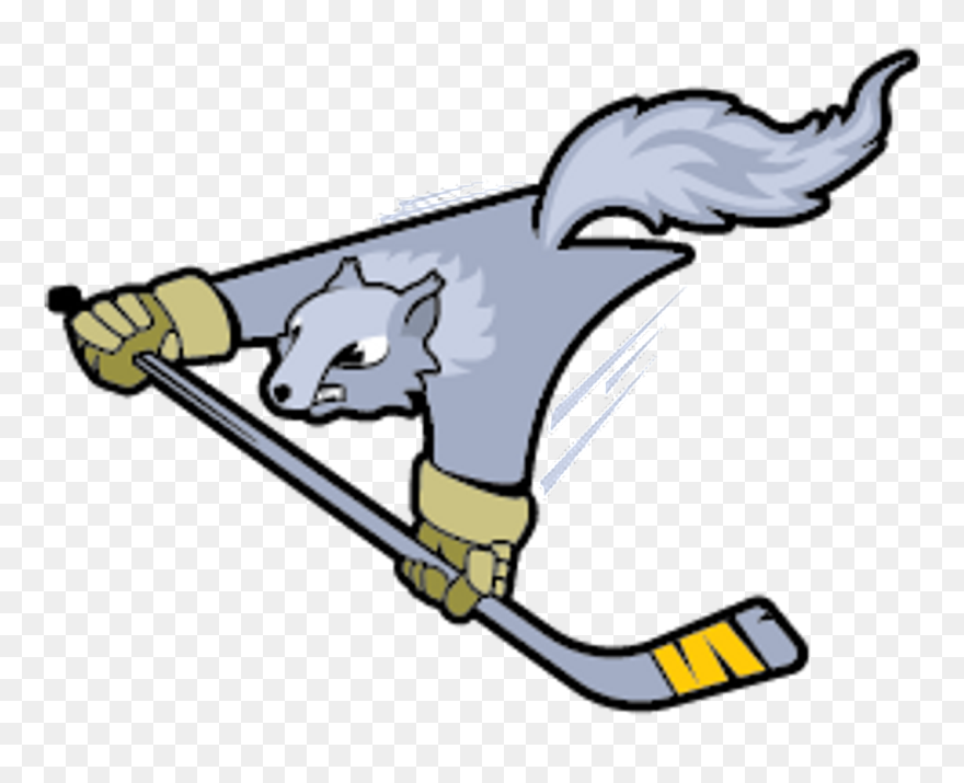 Flying Squirrel Clipart