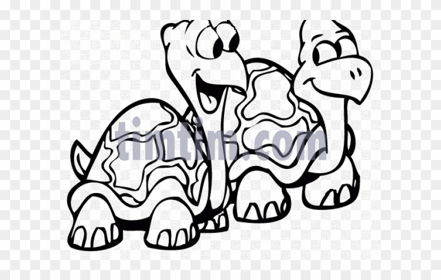 Cartoon Turtles Pictures - 2 Turtles Drawing Clipart