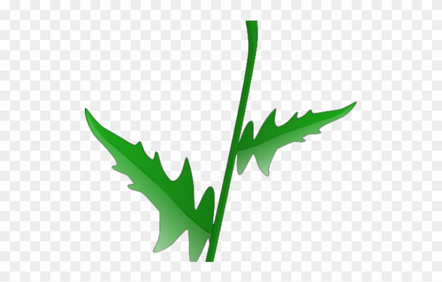 Daisy Clipart Leaf - Daisy Clip Art - Png Download