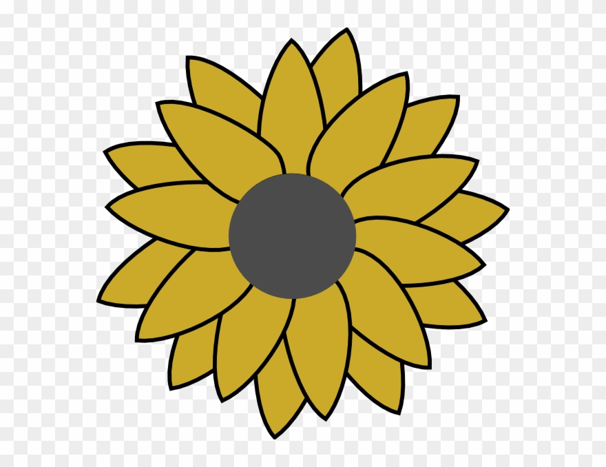 Sunflower Flower Coloring Pages Clipart