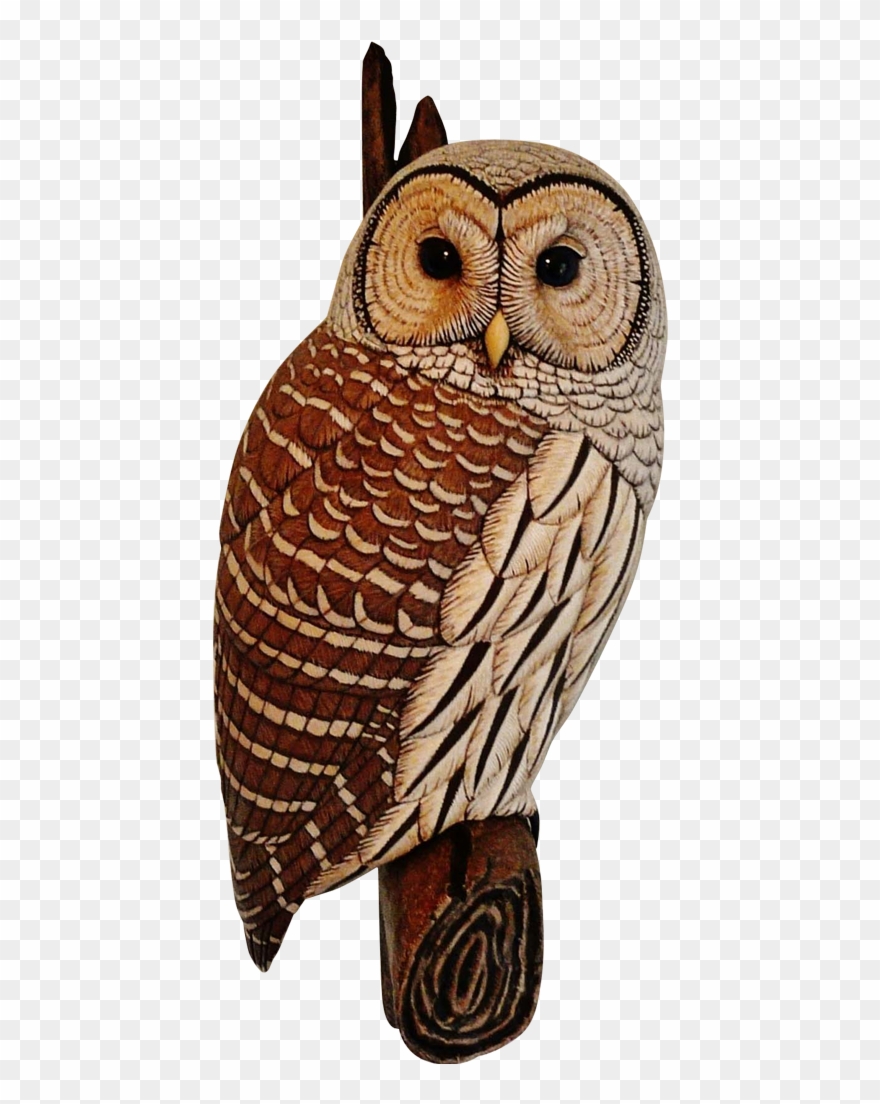 Carved Wooden Owl Clipart