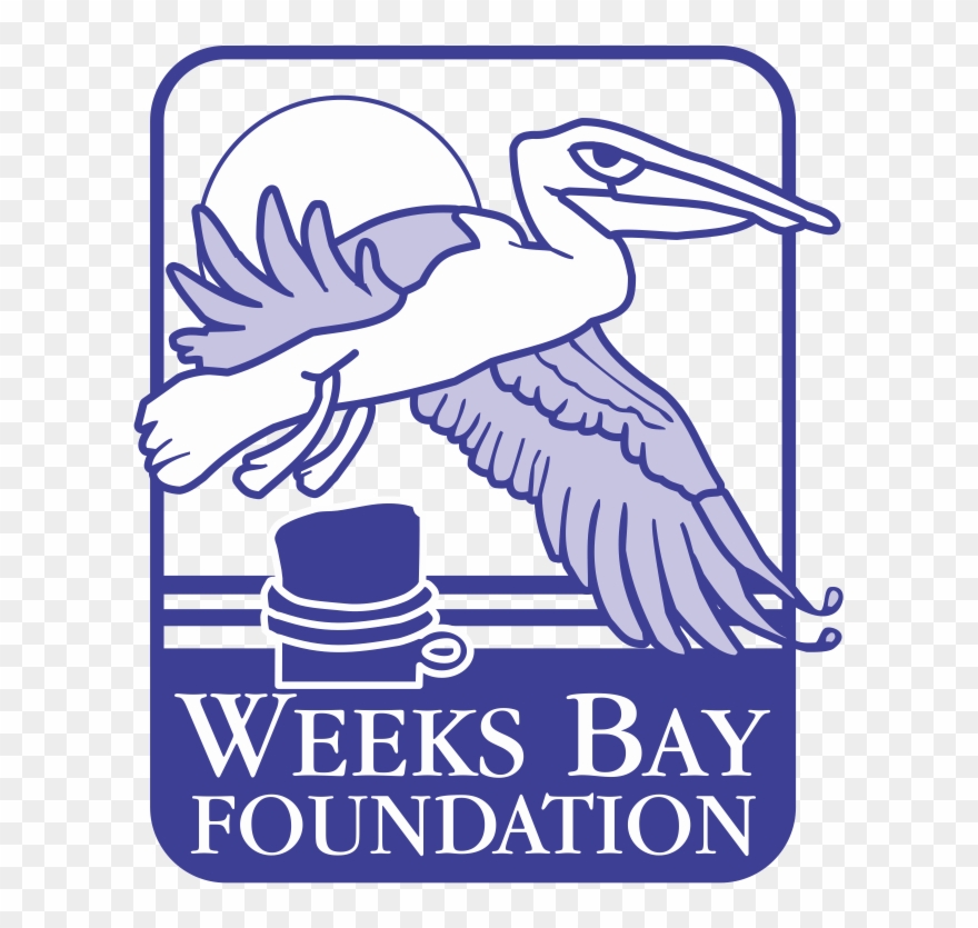 Weeks Bay Foundation Clipart