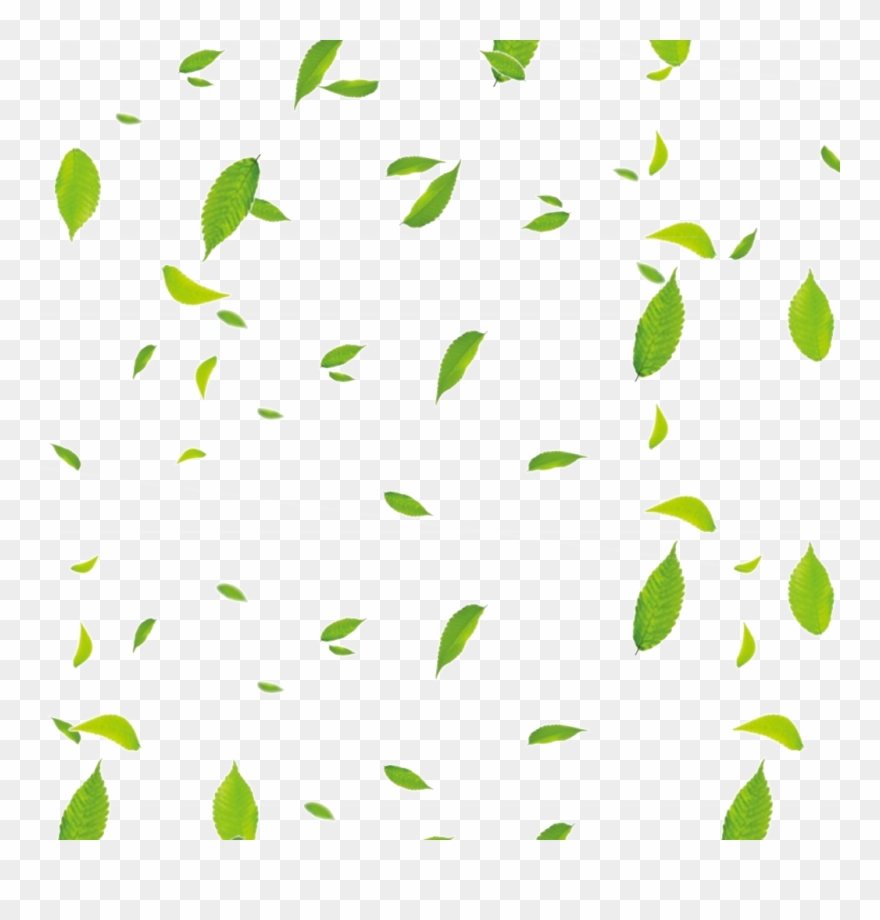 Floating Leaves Clipart