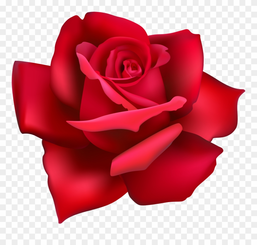 Valentine Flower Clipart - Png Download