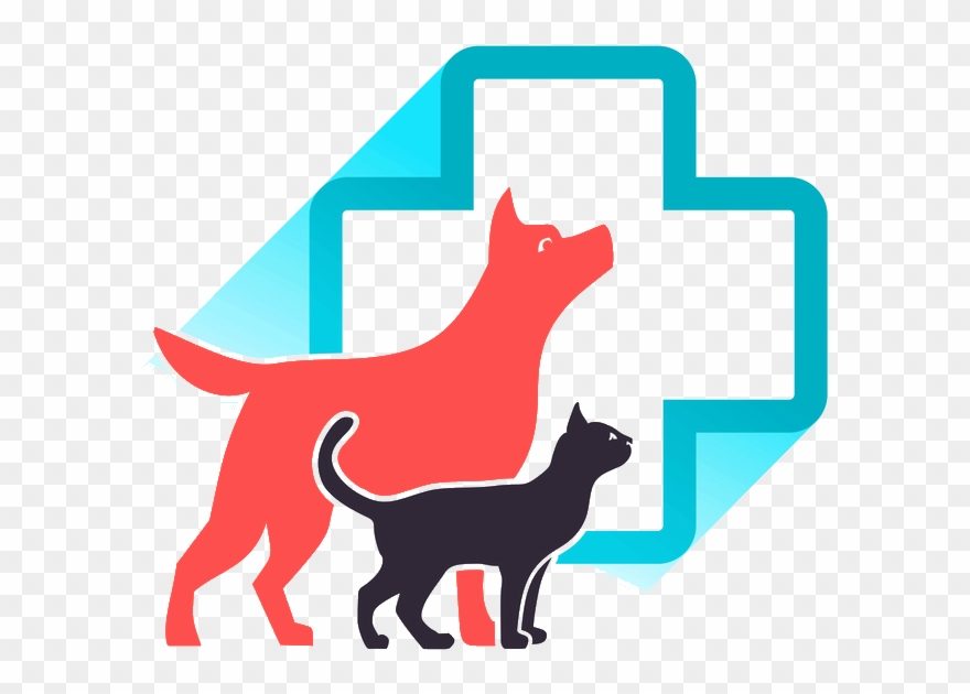 Veterinarian Cedar Hill Mo - Animal Clinic Clipart