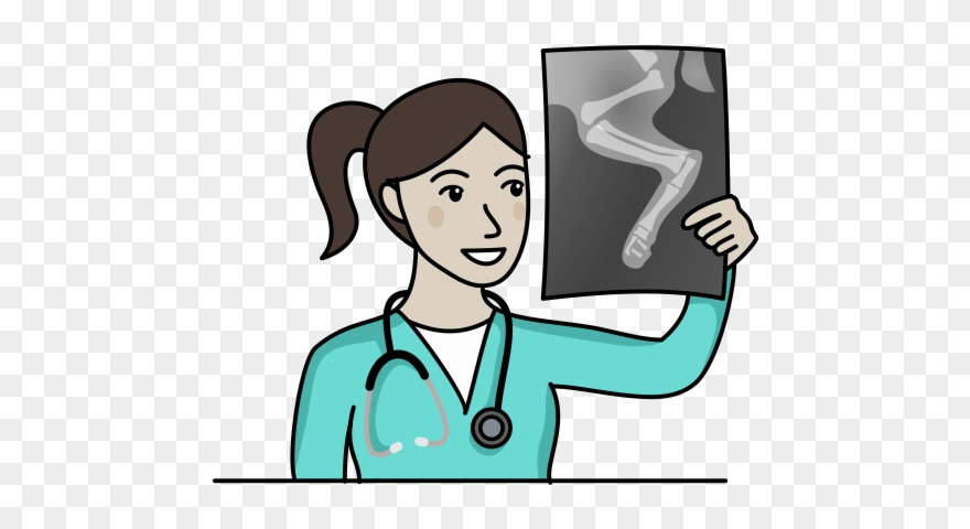 X-ray Report Icon - Cartoon Clipart