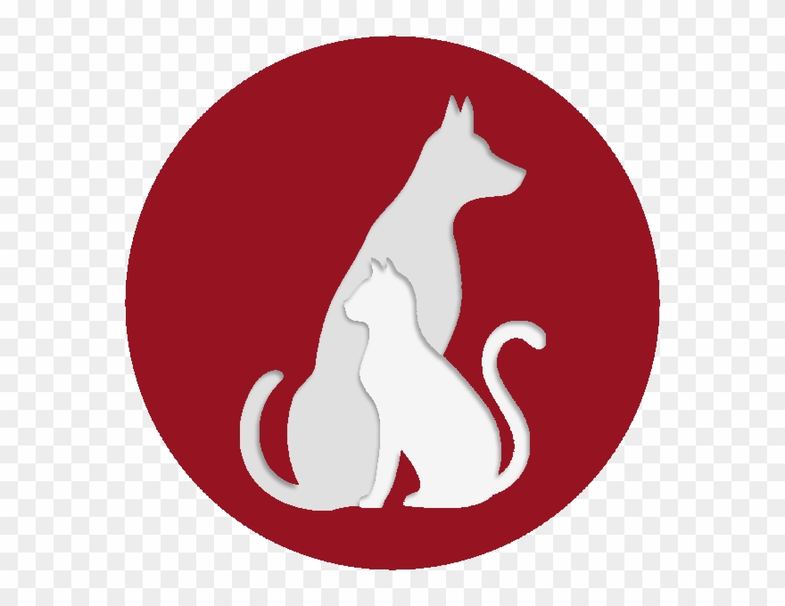 Surgery Offered - My Pet Wellness App Clipart