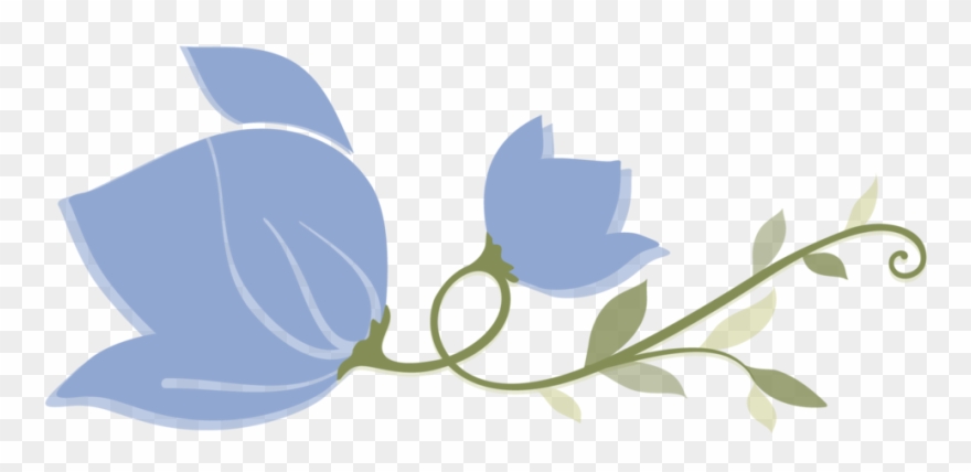 Flowers Clipart Blue Jasmine - Flower - Png Download