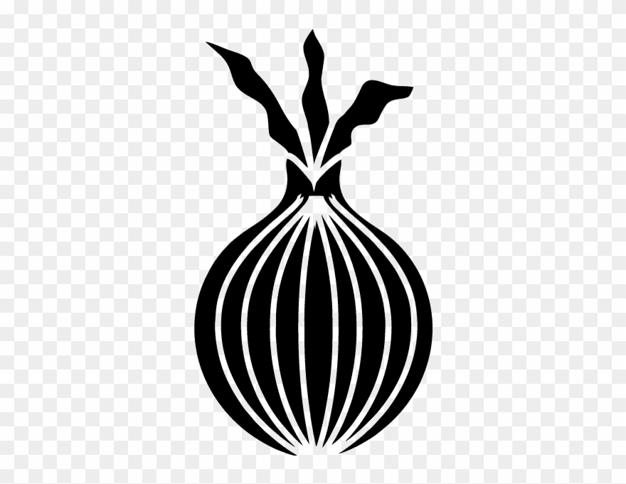 Onion - Illustration Clipart