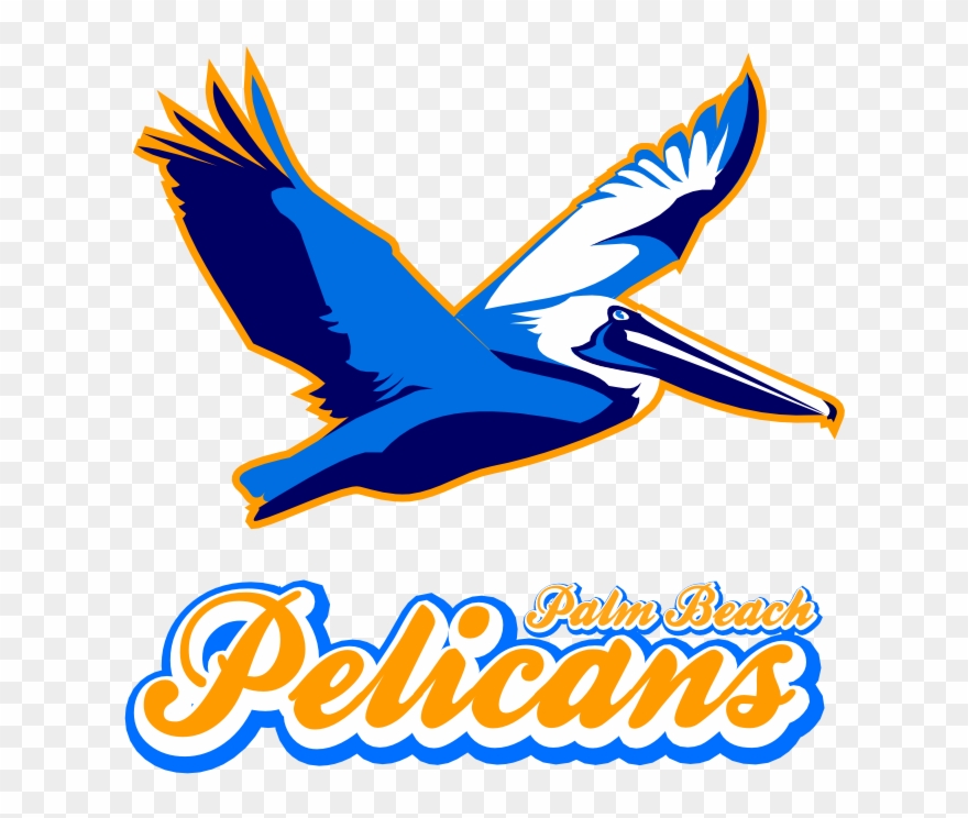 Pelicanlogo - Accipitridae Clipart