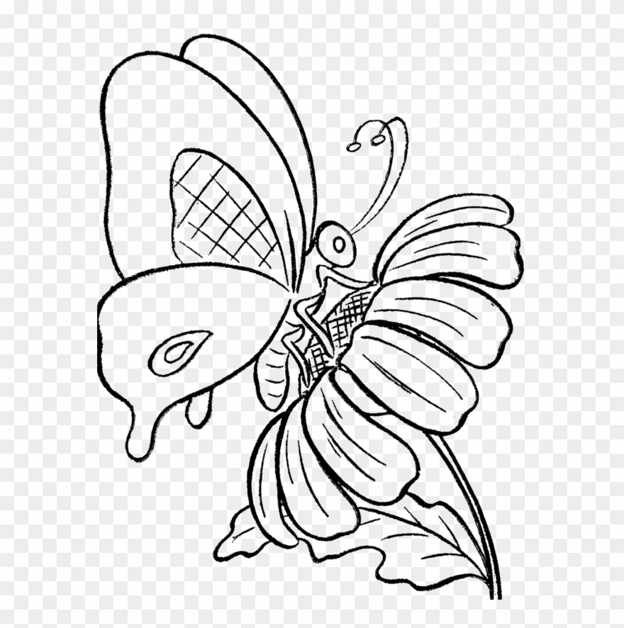 Flower Cartoon Pictures - Drawing Of A Butterfly On A Flower Clipart