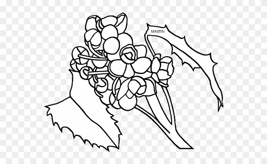 Free United States Clip Art By Phillip Martin, State - Oregon Grape Clip Art - Png Download