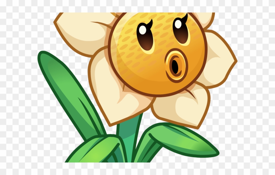 Daffodils Clipart Pumpkin Flower - Narcissus Pvz - Png Download