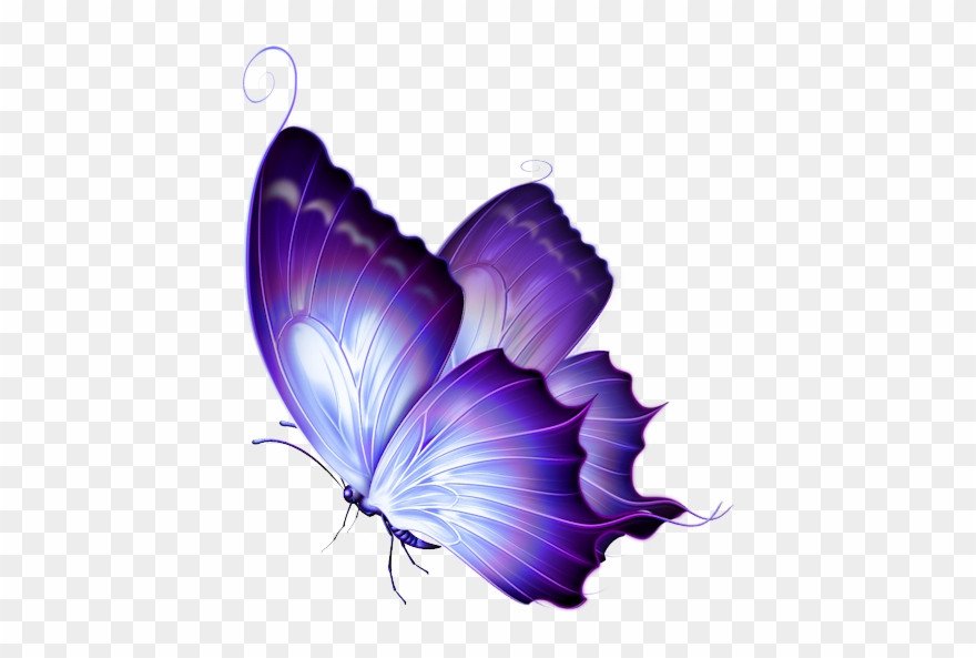 Фото, Автор Svetlera На Яндекс - Very Very Beautiful Butterfly Clipart