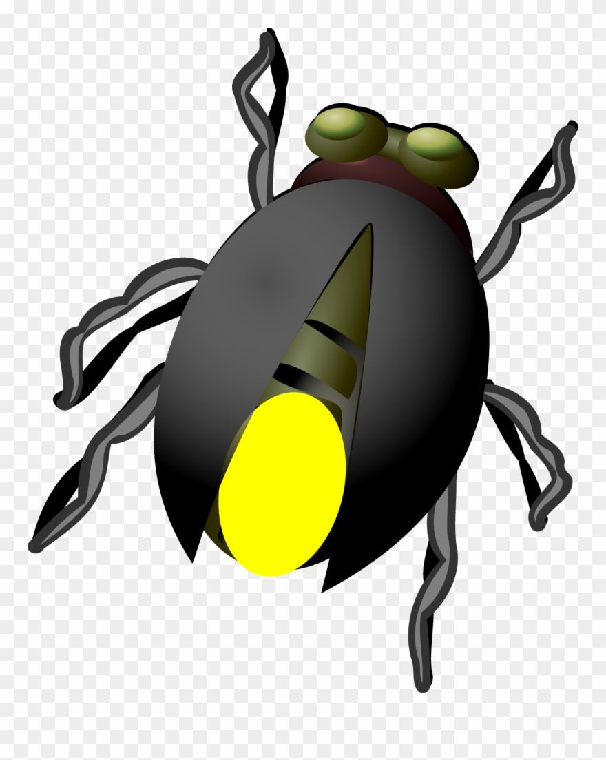 Firefly Download Clip Art - Firefly - Png Download