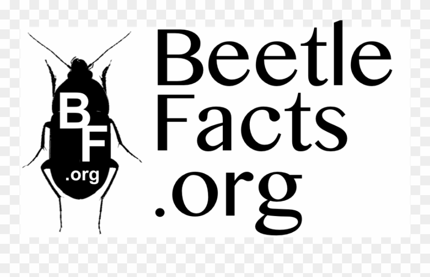 Hammond Gower Letters Congratulations Card Clipart