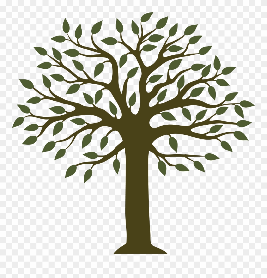 The Learning Tree Childcare Centers Tree - Given Limb Foundation Clipart
