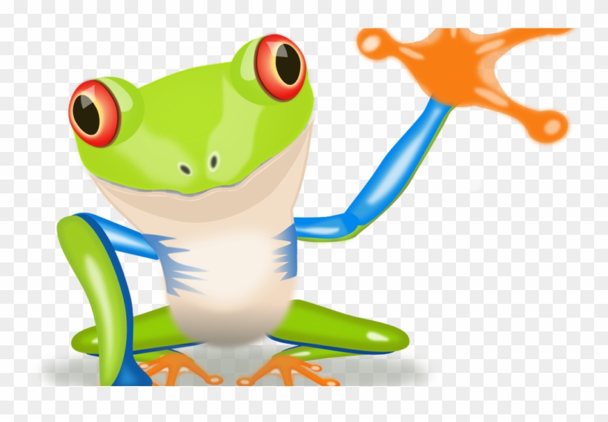 Life As A Chameleon - Red Eyed Tree Frog Clipart - Png Download