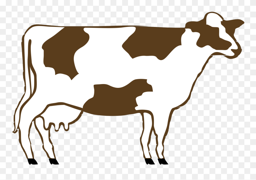 Holstein Friesian Cattle Calf Dairy Cattle Drawing - Animated Images Of Cow Clipart