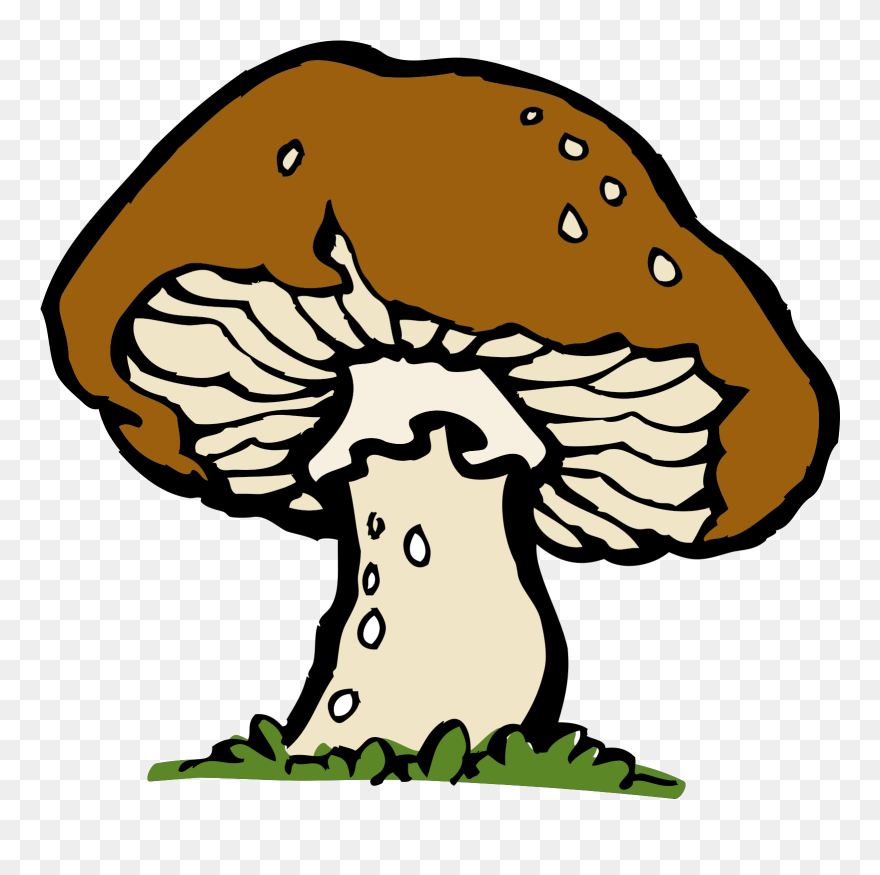 Pilz Groß Brown Kostenloses - Mushroom Clip Art - Png Download
