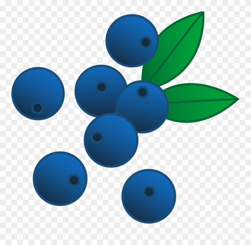 Blueberries Clipart - Png Download