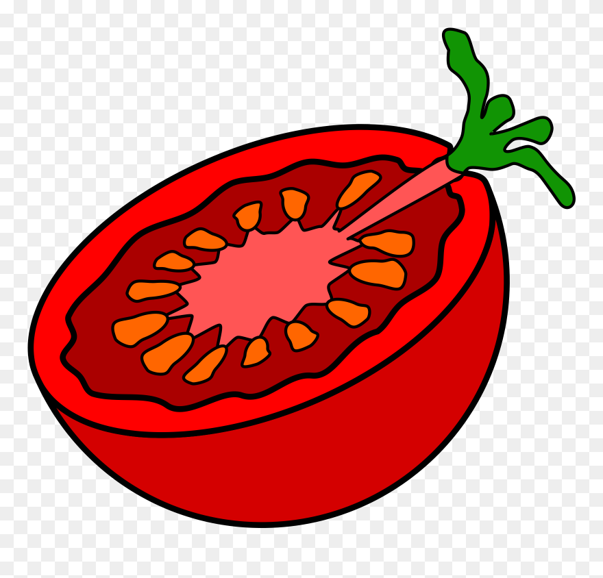 Inside Of Tomato Drawing Clipart