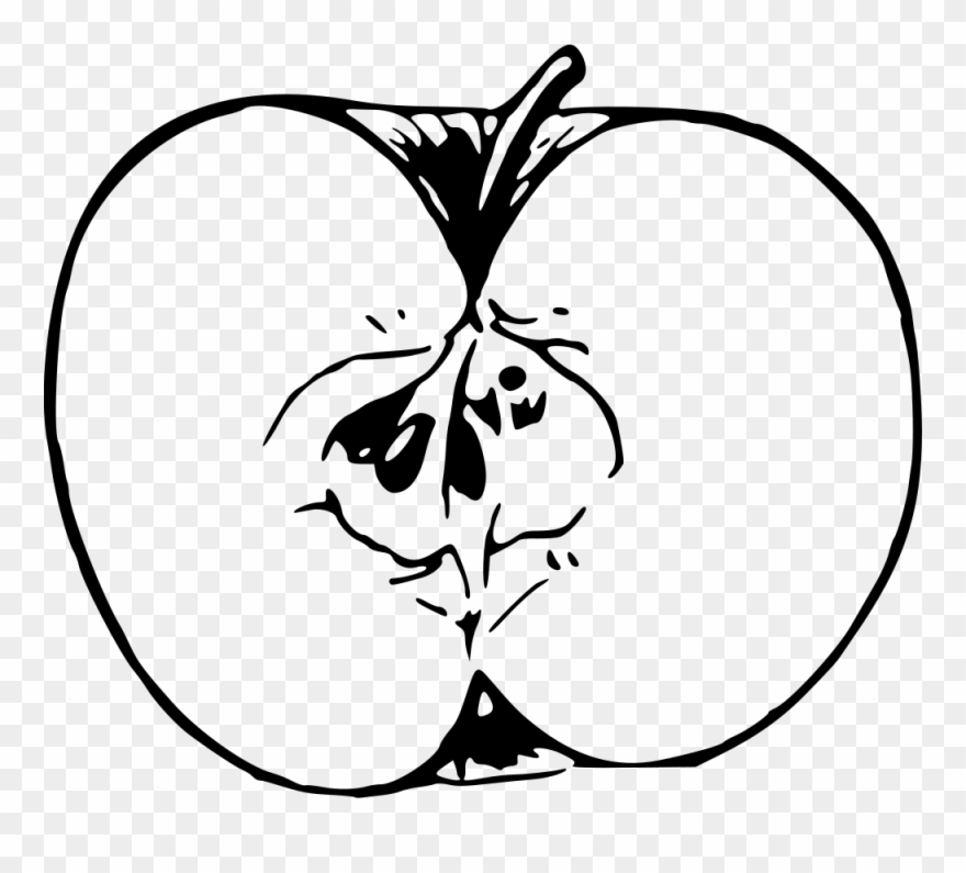 Medium Image - Apple Drawing Png Clipart
