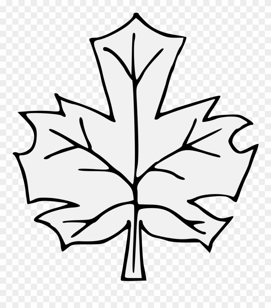 Maple Leaf Clipart Traceable - Maple - Png Download