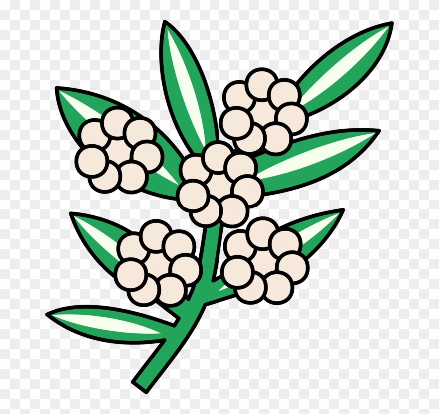 Cut Flowers Computer Icons Calophyllum Petal - Clip Art - Png Download