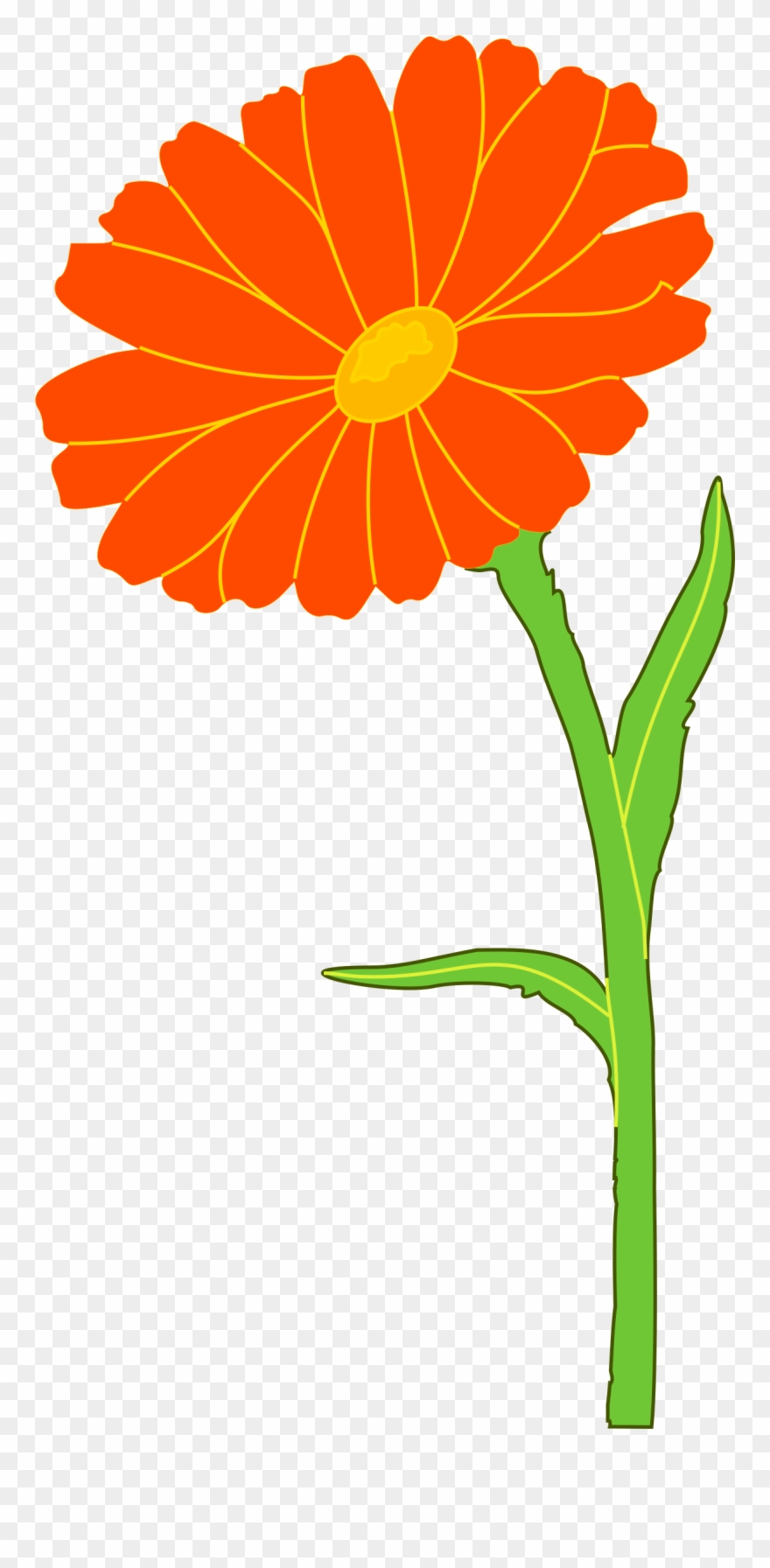 Marigold Free Cut Out - Marigold Png Clipart