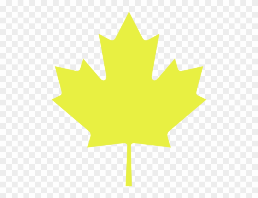 Maple Leaf Clipart Yellow - Drupal North - Png Download