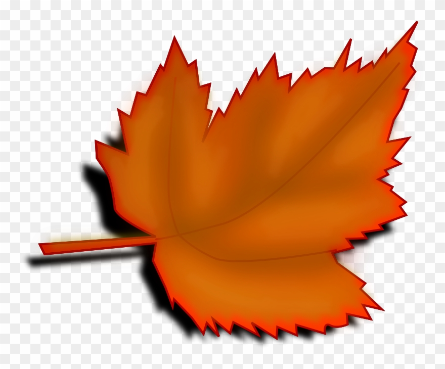 Maple Leaf Clipart November Leaves - Tree Leaves Clip Art - Png Download