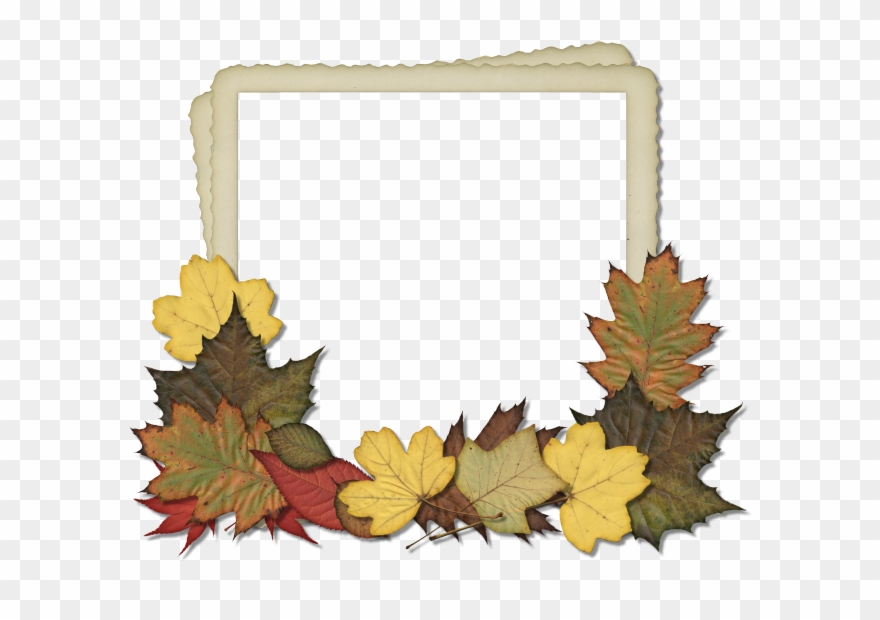 Maple Leaf Clipart Scrapbook - Belgian Shepherd Throw Blanket - Png Download