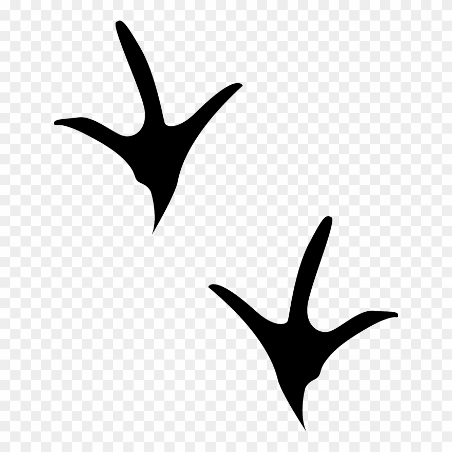 Chicken Tracks Rubber Stamp - Chicken Tracks Clip Art - Png Download