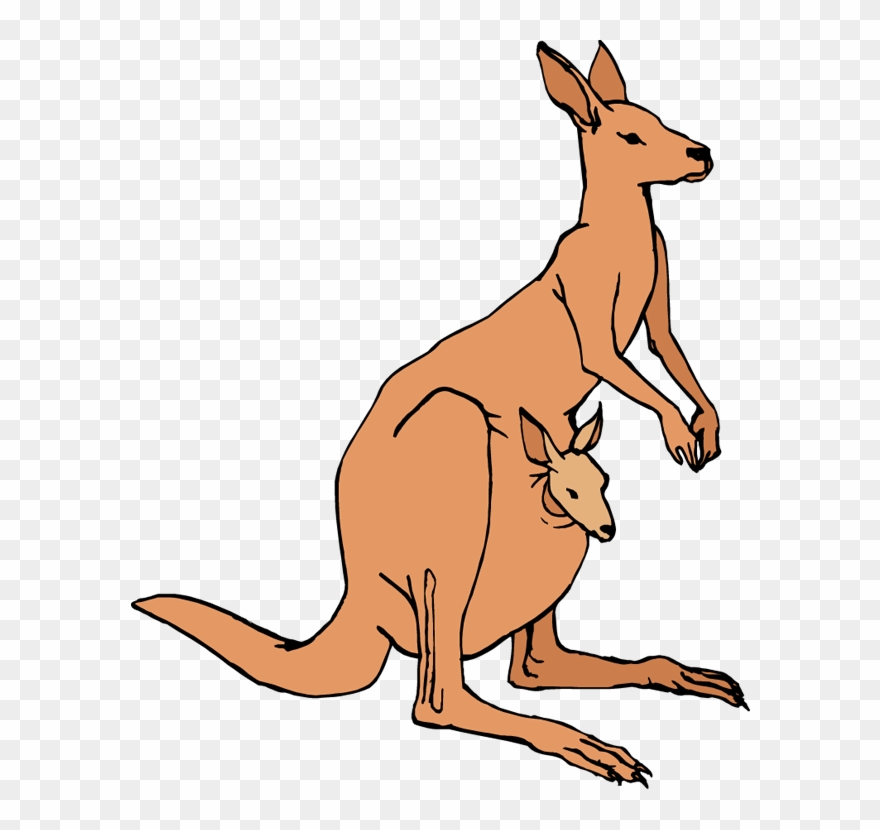 Free Kangaroo Clipart - Clipart Of Kangaroo - Png Download