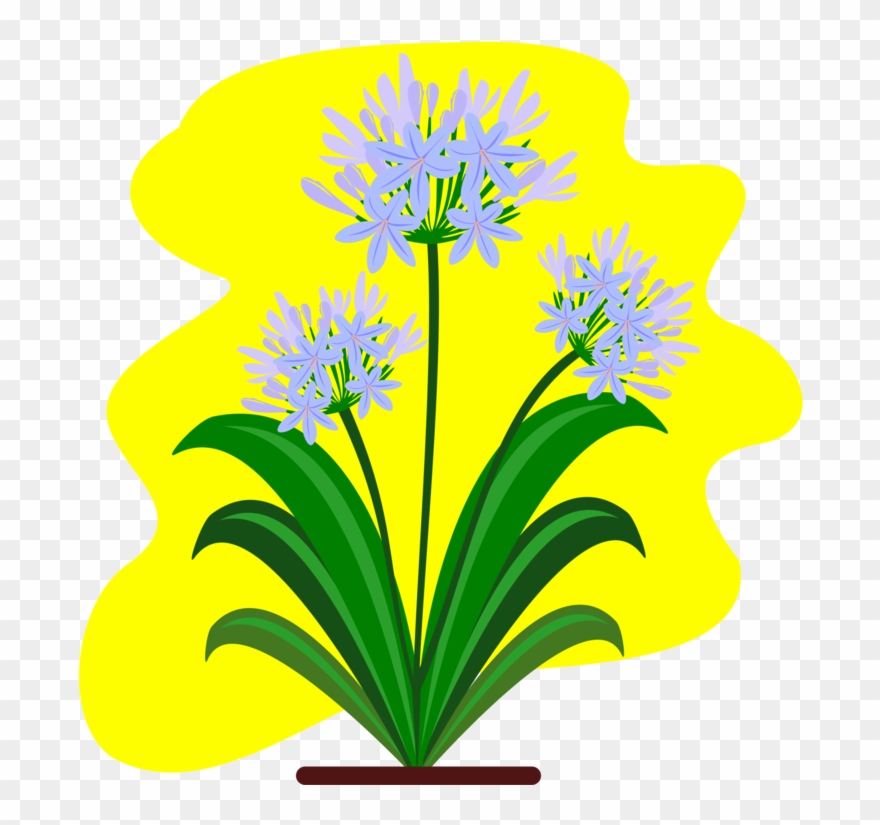 Cut Flowers Yellow Floral Design Raster Graphics - Botanical Drawing Pdf Agapanthus Clipart