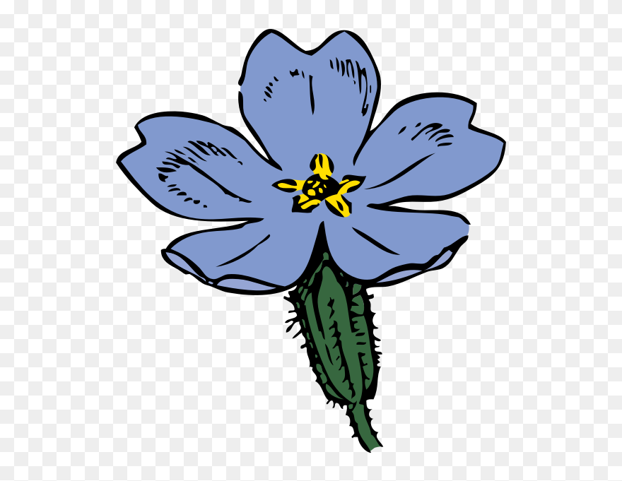 Free Vector Primrose Clip Art - Primrose Clipart - Png Download