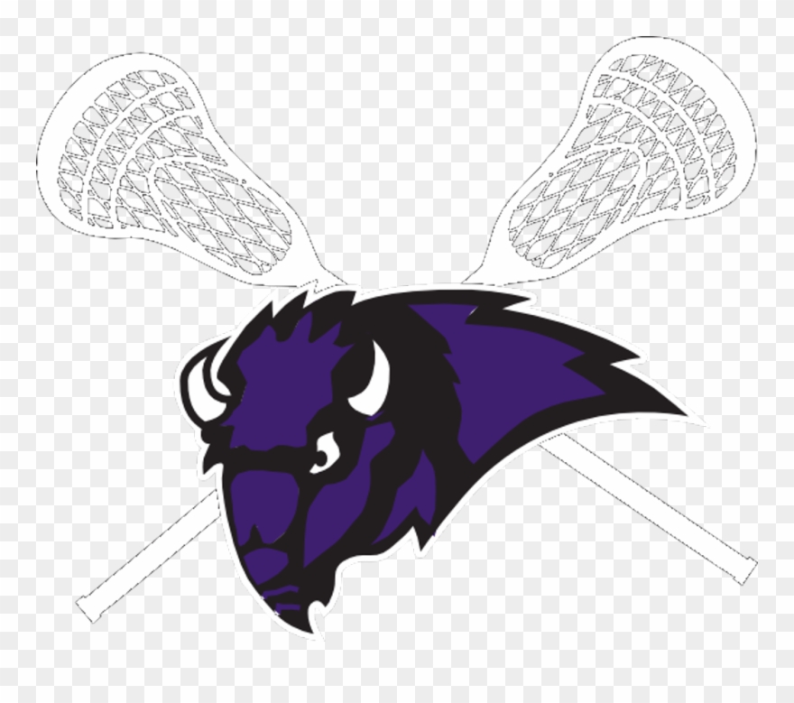 Buffalo Youth Lacrosse Club - Buffalo Bison Logo Lacrosse Clipart