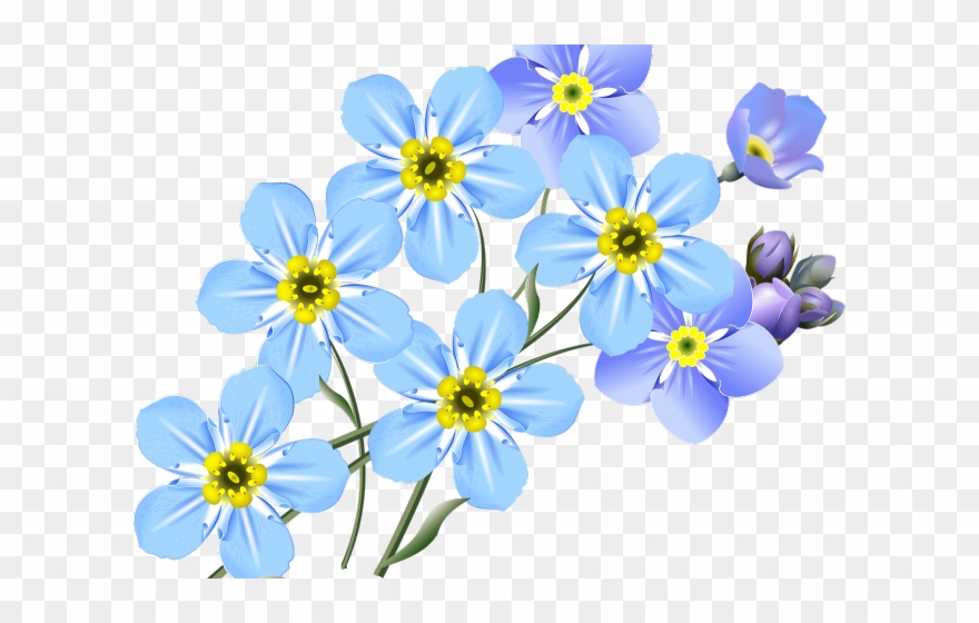 Forget Me Not Clipart Bunch - Forget Me Nots Clipart - Png Download