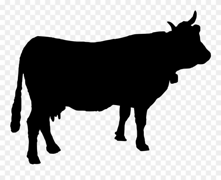 Cattle Clip Art Download - Cow Silhouette Vector - Png Download