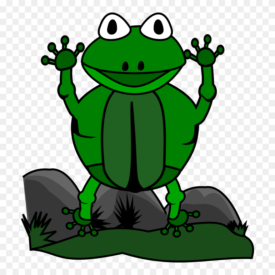 Snow Frog Cliparts - Hewan Clip Art - Png Download