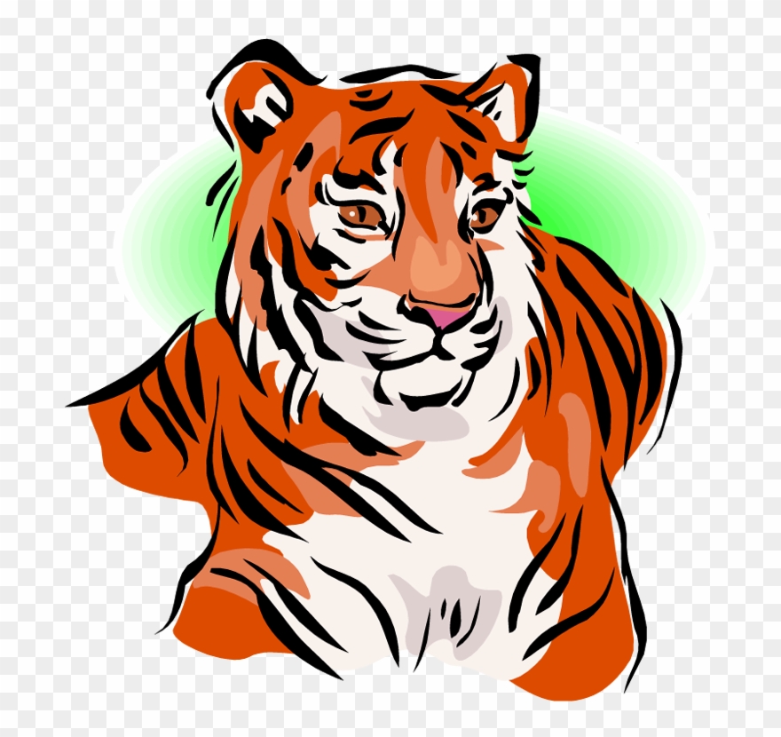 Tiiger Clipart Orange - Things Begins With T - Png Download