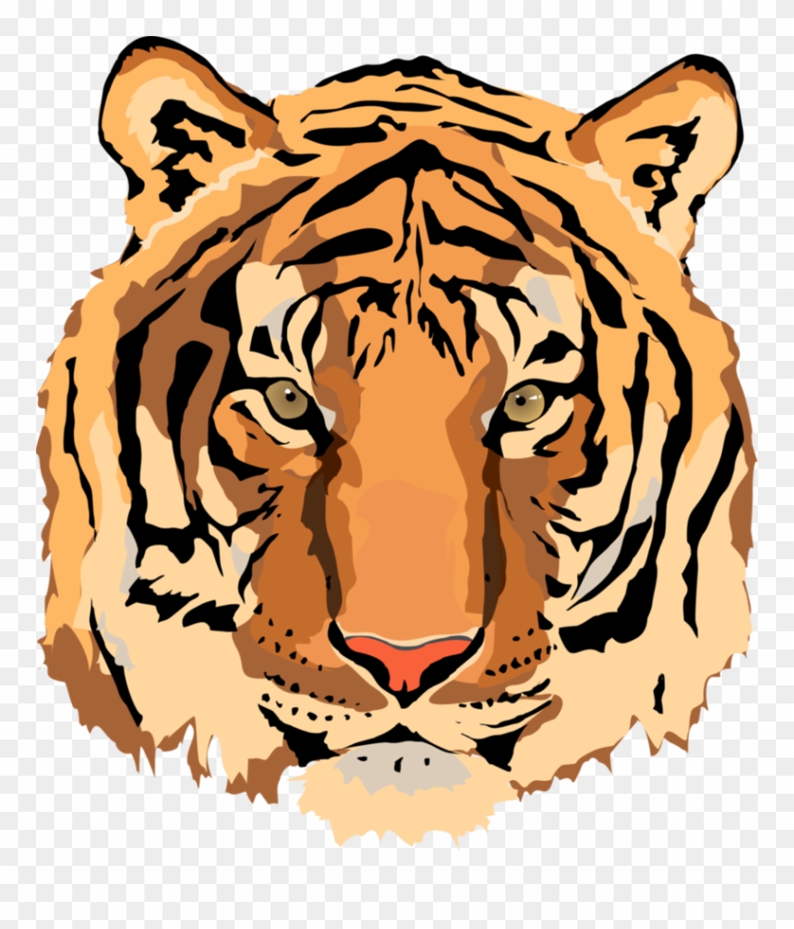 Tiger Vector Image Clipart Best - Porte-monnaie Orange - Tri-coastal - Femme - Png Download