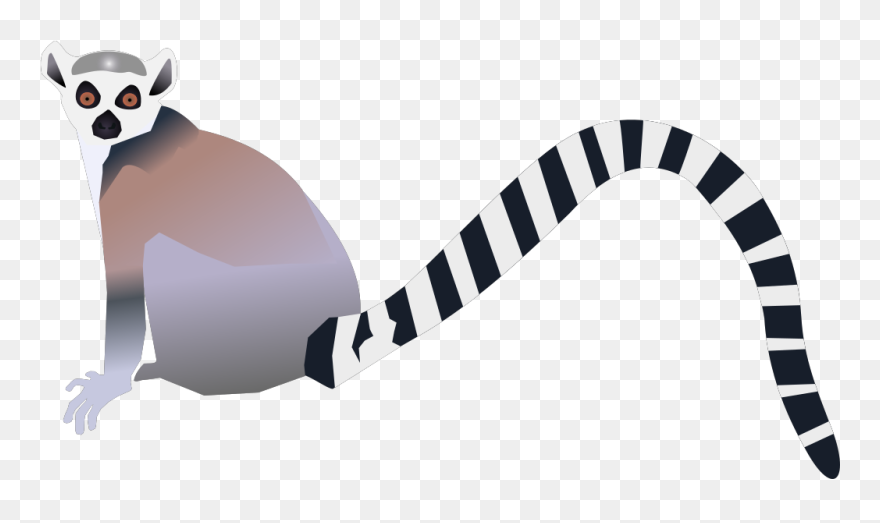 Tiger Tail Clipart - Lemur Clip Art - Png Download