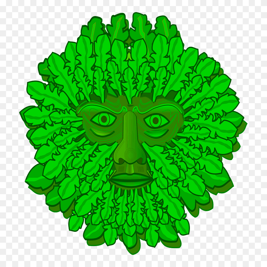 Caesar Salad Vegetable Leaf Romaine Lettuce - Lettuce Clipart